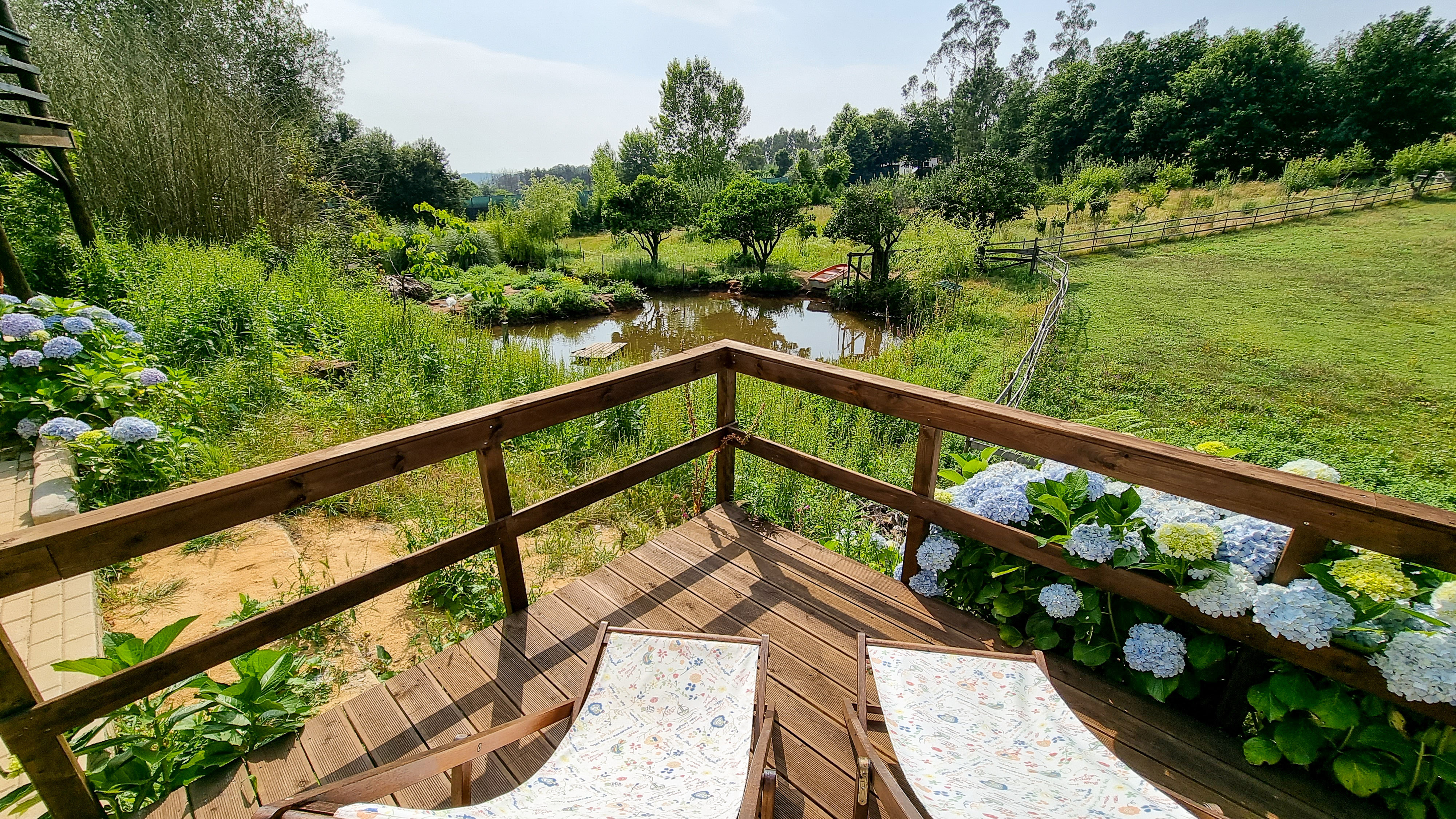 Zona do Lago dos Cisnes, Patos, Gansos da Noruega e do Canada